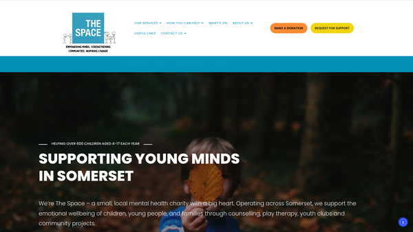 Screenshot of the The Space website