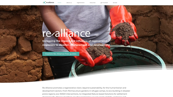 Screenshot of the Re-Alliance website