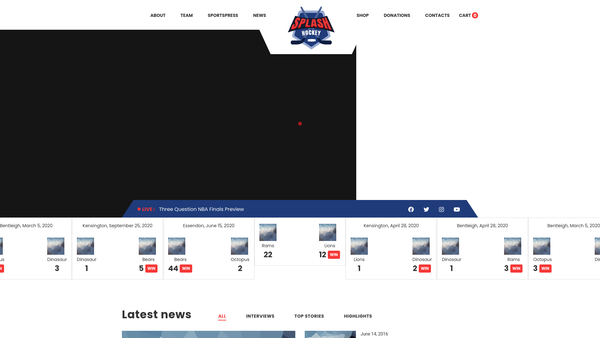 Screenshot of the Essex Sports Culture & Art Foundation website