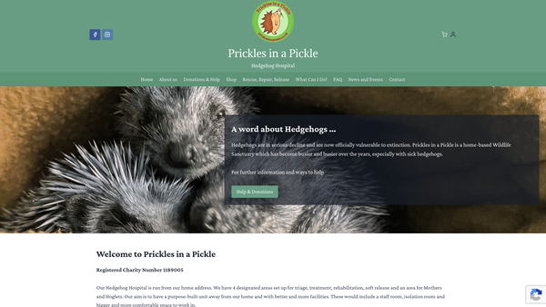 Screenshot of the Prickles In A Pickle website