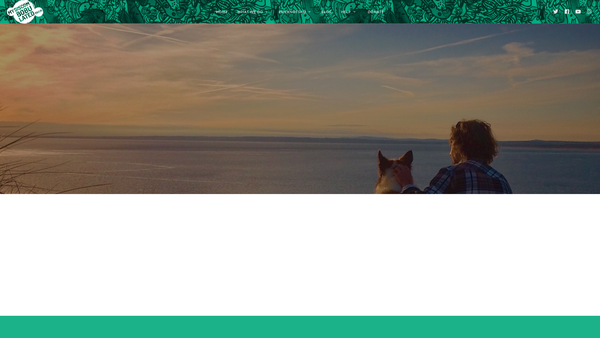 Screenshot of the My Discombobulated Brain website