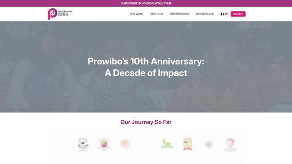 Screenshot of the Professors Without Borders website