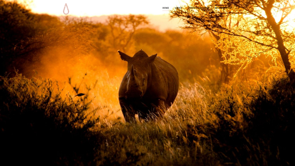 Screenshot of the Rhino Tears Jewellery website