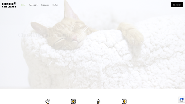 Screenshot of the Chorlton Cats Charity website