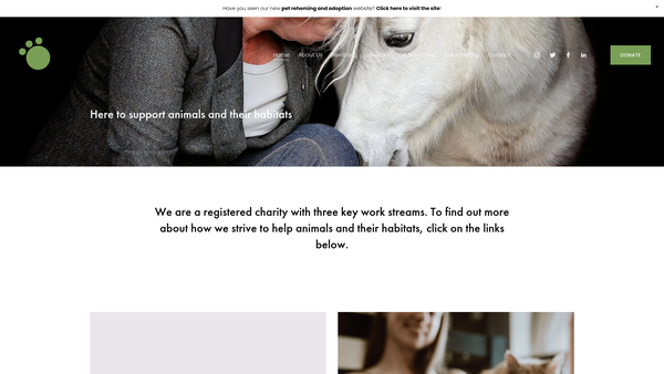 Screenshot of the Charity Buddy website