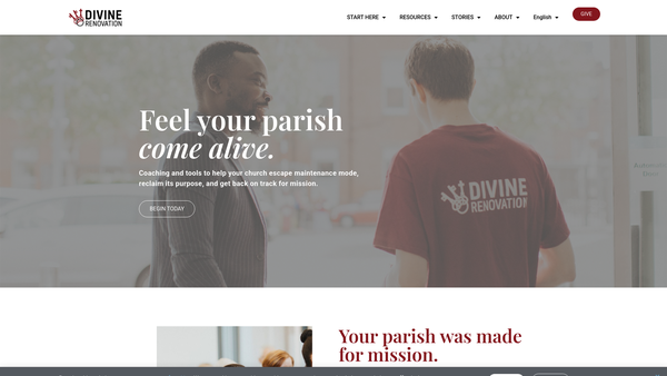 Screenshot of the Divine Renovation UK website