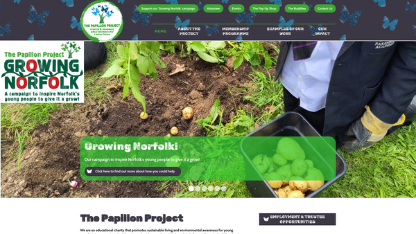 Screenshot of the The Papillon Project website