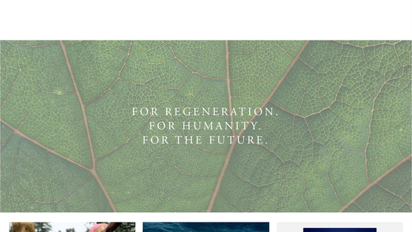 Screenshot of the Common Earth website