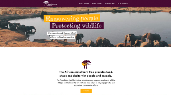 Screenshot of the Camelthorn Foundation website