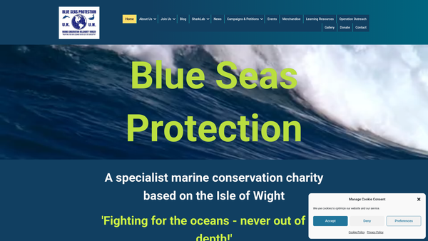 Screenshot of the Blue Seas Protection website