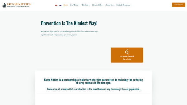 Screenshot of the Kotor Kitties website
