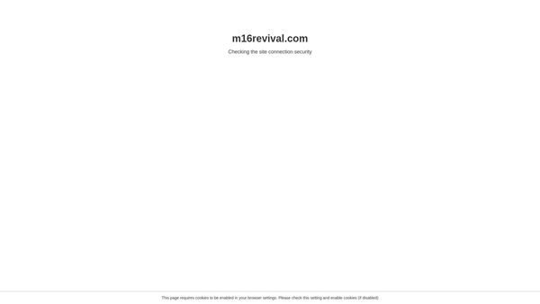 Screenshot of the M16 Revival Foundation website