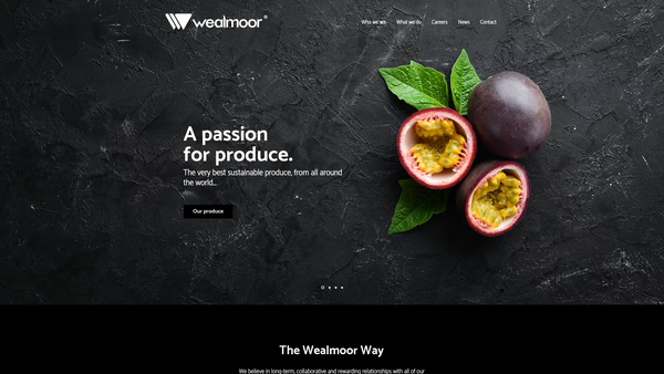 Screenshot of the The Wealmoor Way Foundation website