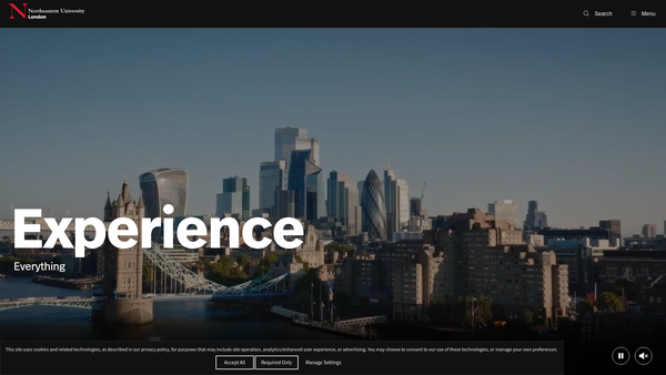 Screenshot of the Northeastern University - London website