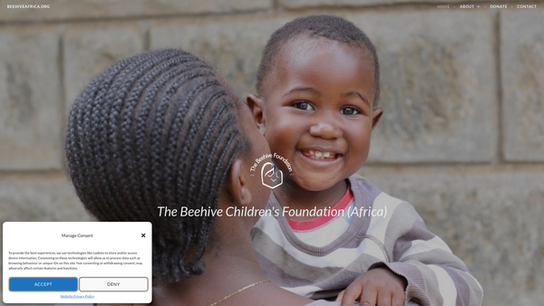 Screenshot of the The Beehive Children's Foundation (Africa) website