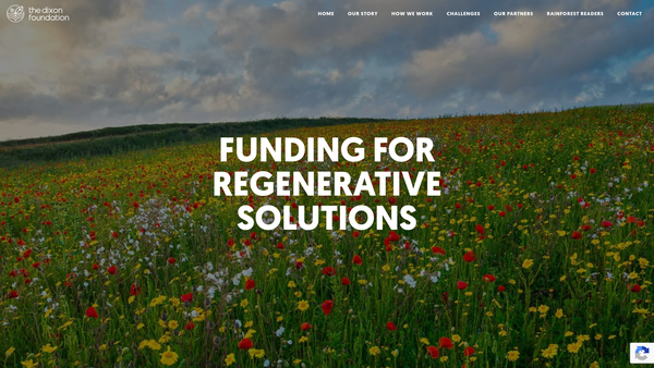 Screenshot of the The Dixon Foundation website