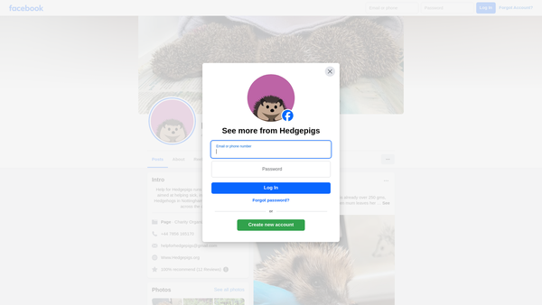 Screenshot of the Hedgepigs website