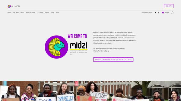 Screenshot of the Midzi website