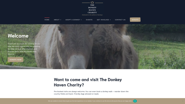 Screenshot of the The Donkey Haven Charity website