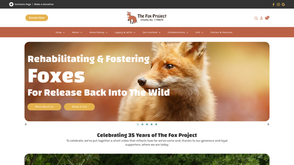 Screenshot of the The Fox Project (Southern Wildlife Ambulance Network) website
