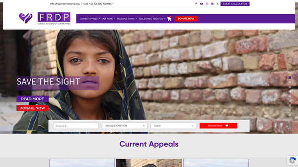 Screenshot of the Frdp International website