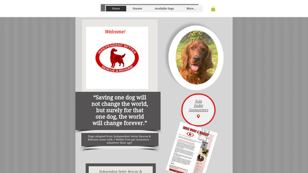 Screenshot of the Independent Setter Rescue And Rehome website