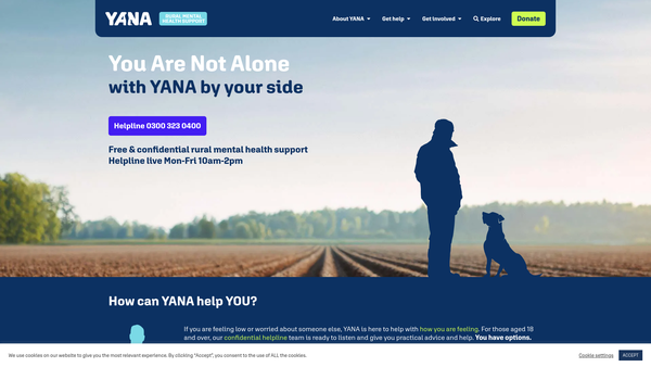 Screenshot of the Yana website