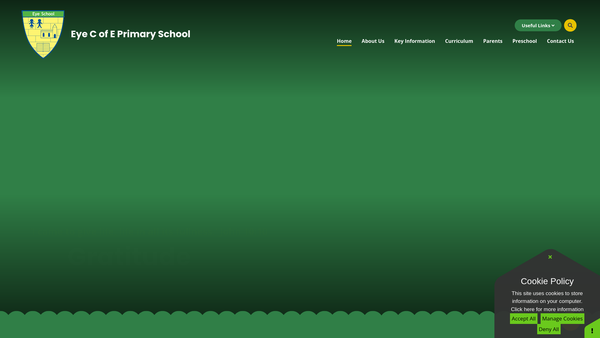 Screenshot of the Eye School Association website