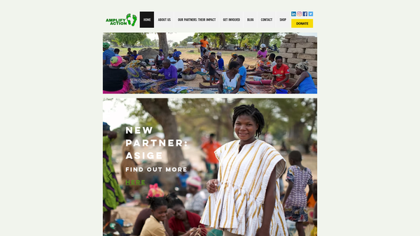 Screenshot of the Amplify Action website