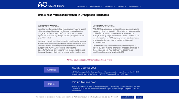 Screenshot of the Aouk & I website