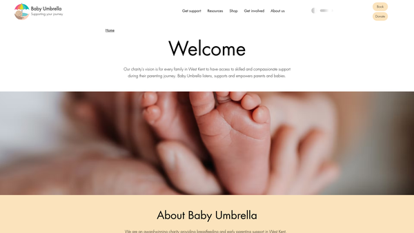Screenshot of the Baby Umbrella website