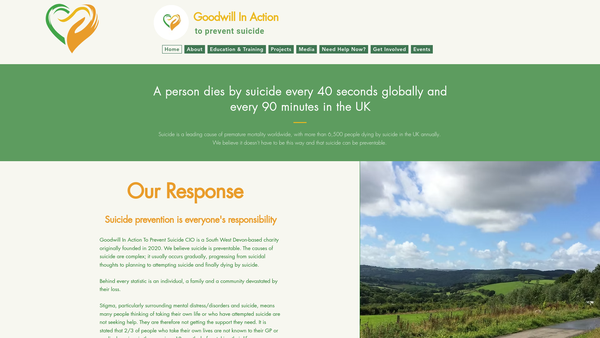 Screenshot of the Goodwill In Action To Prevent Suicide CIO website