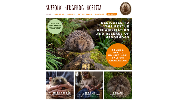 Screenshot of the Suffolk Hedgehog Hospital website