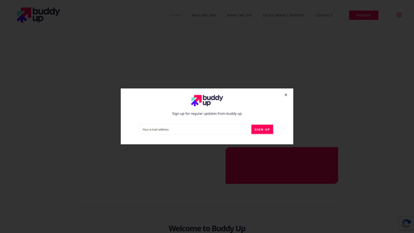 Screenshot of the Buddy Up website