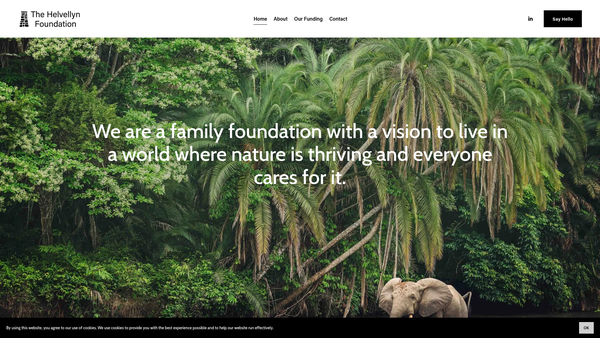 Screenshot of the The Helvellyn Foundation website