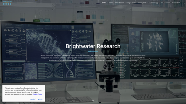 Screenshot of the Brightwater Research website