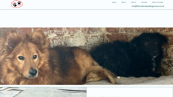 Screenshot of the Friends Indeed website