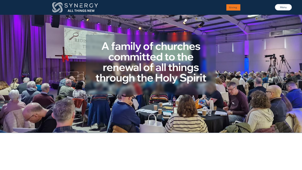 Screenshot of the Synergy Sphere website