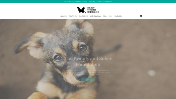 Screenshot of the The Brandy And Sober Foundation website