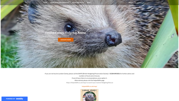 Screenshot of the London Colney Hedgehog Rescue website
