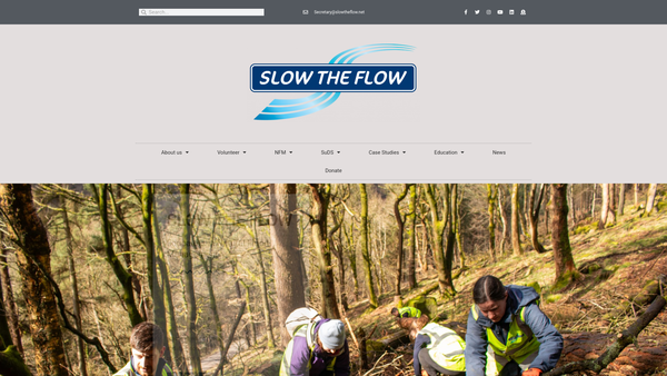 Screenshot of the Slow The Flow website