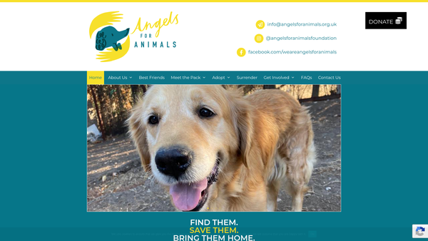 Screenshot of the Angels For Animals Foundation website