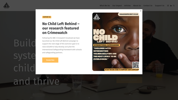 Screenshot of the Paradigm Project website
