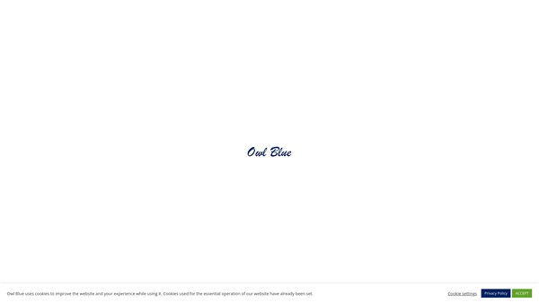 Screenshot of the Owl Blue website