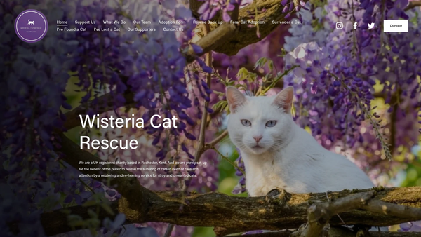 Screenshot of the Wisteria Cat Rescue website