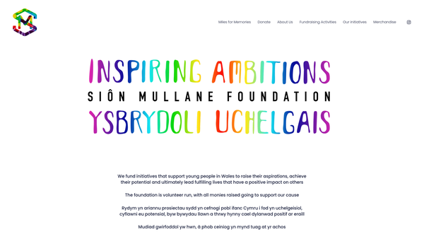 Screenshot of the The Sion Mullane Foundation website