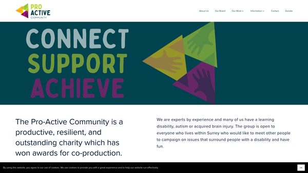 Screenshot of the Pro-Active Community website