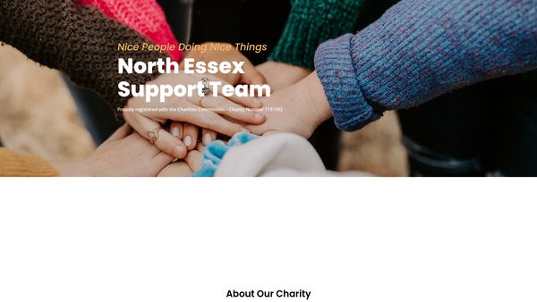 Screenshot of the North Essex Support Team (N.e.s.t) website