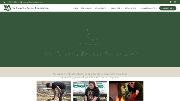Screenshot of the The Camelia Botnar Foundation website