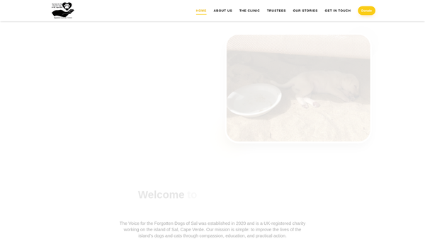 Screenshot of the The Voice For The Forgotten Dogs Of Sal Cape Verde website